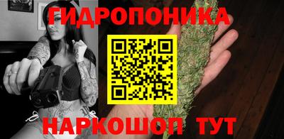 стафф Заводоуковск
