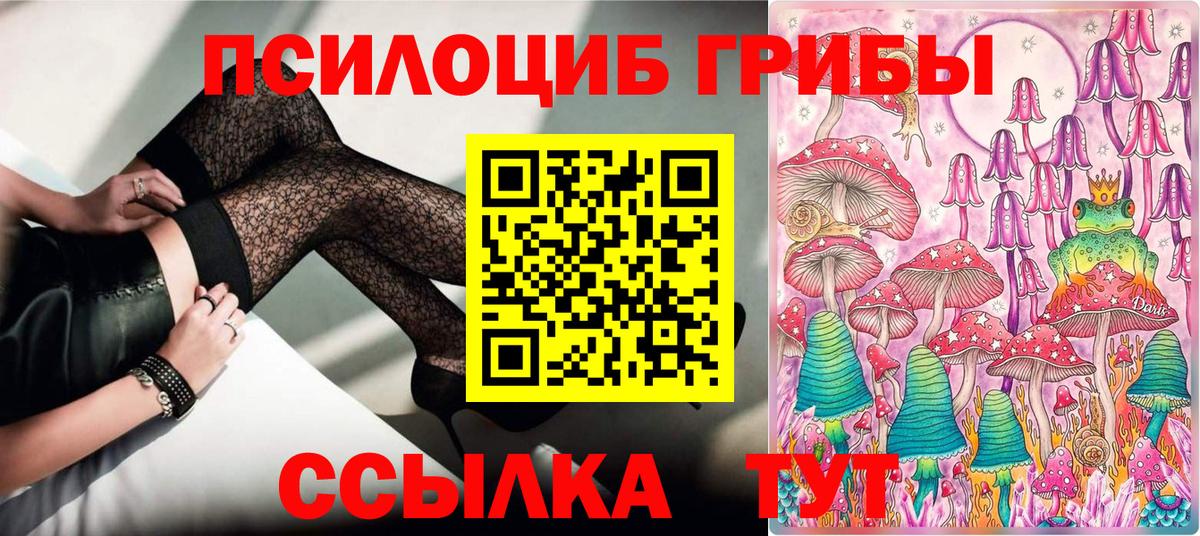 Псилоцибиновые грибы Psilocybine cubensis  Галлюциногенные грибы мухоморы  закладки  Вход с VPN  Гусиноозёрск 